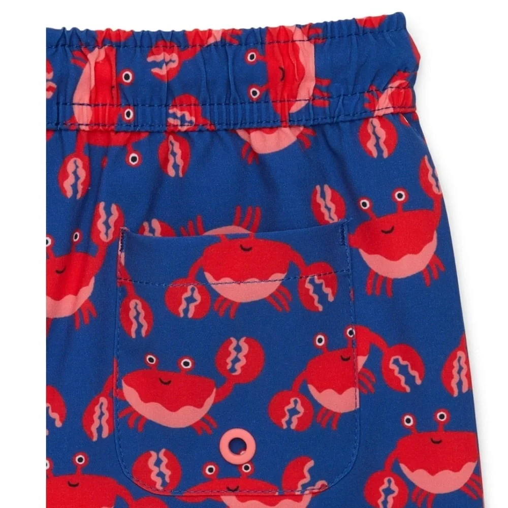 Brand New Wonder Nation Boys Swim Trunks Size 4T